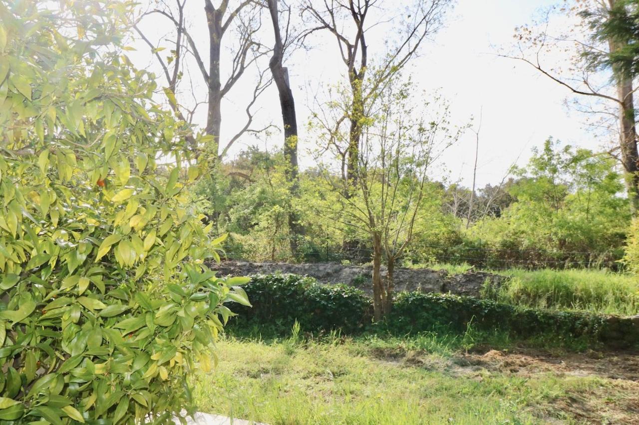 Gites Terra Di A Bravona Linguizzetta Bagian luar foto