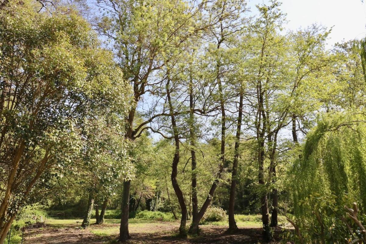 Gites Terra Di A Bravona Linguizzetta Bagian luar foto
